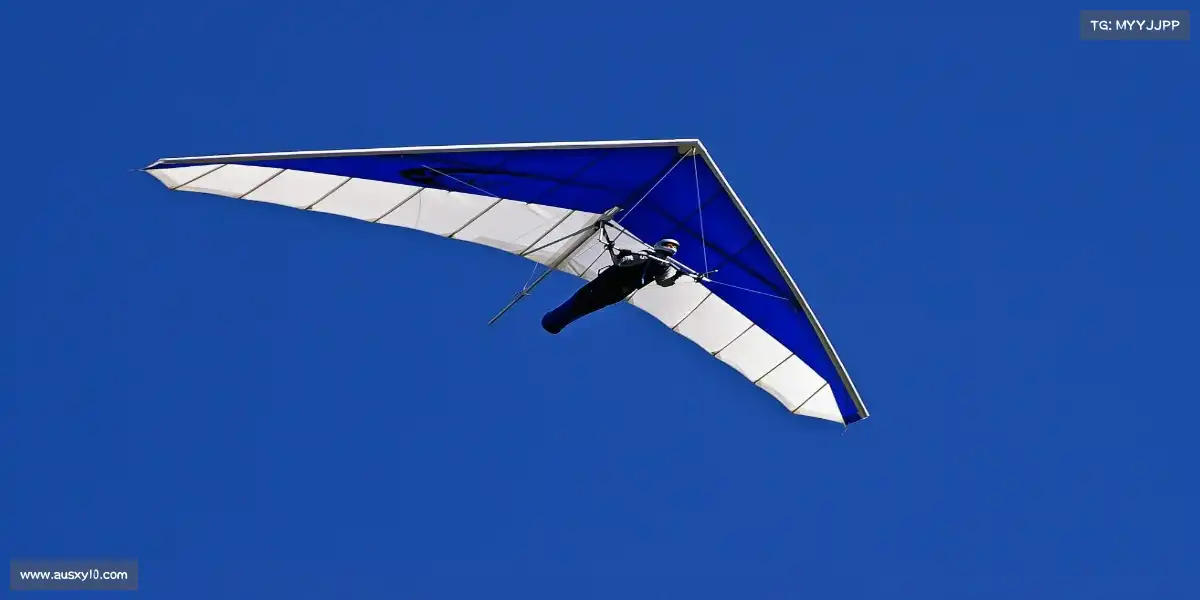 澳洲幸运10官网——🚣赛艇破浪，桨动星河！